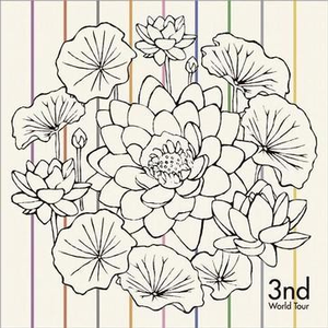 啊哈又加一指啊哈啊
