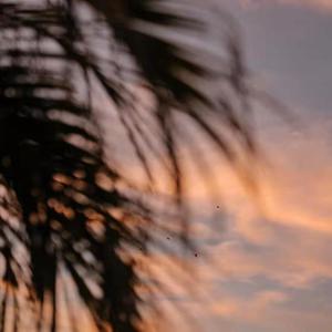 啊哈又加一指啊哈啊
